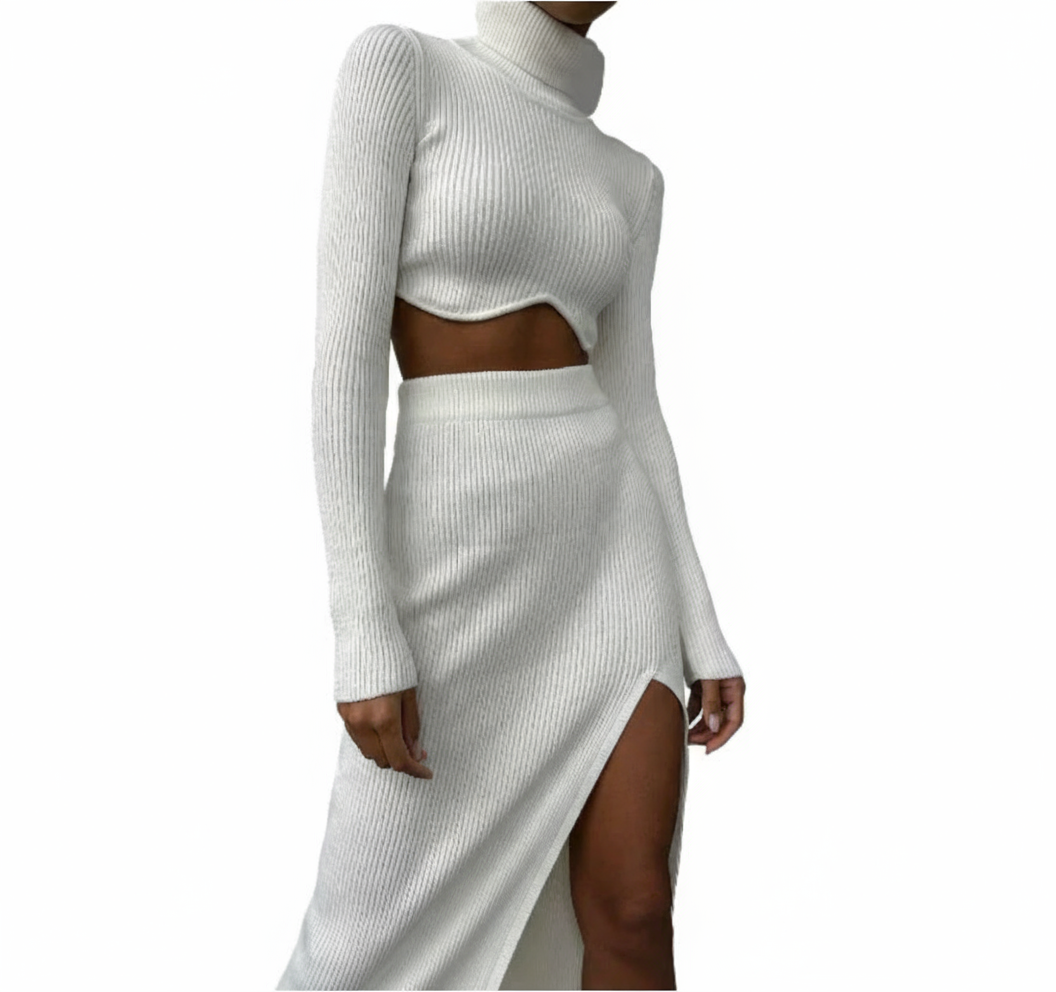 Melanie Set: Fall/Winter Ribbed High Neck Dress (One Set)