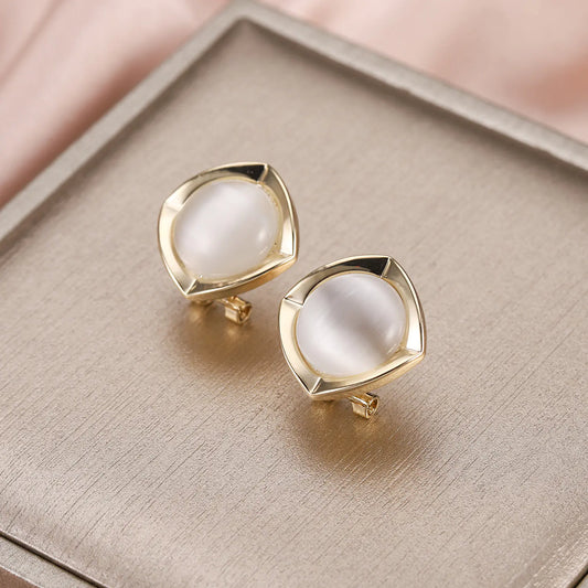 Stylish high-end fashion earrings